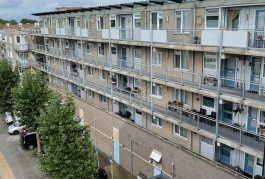  timmerfabriekhartman